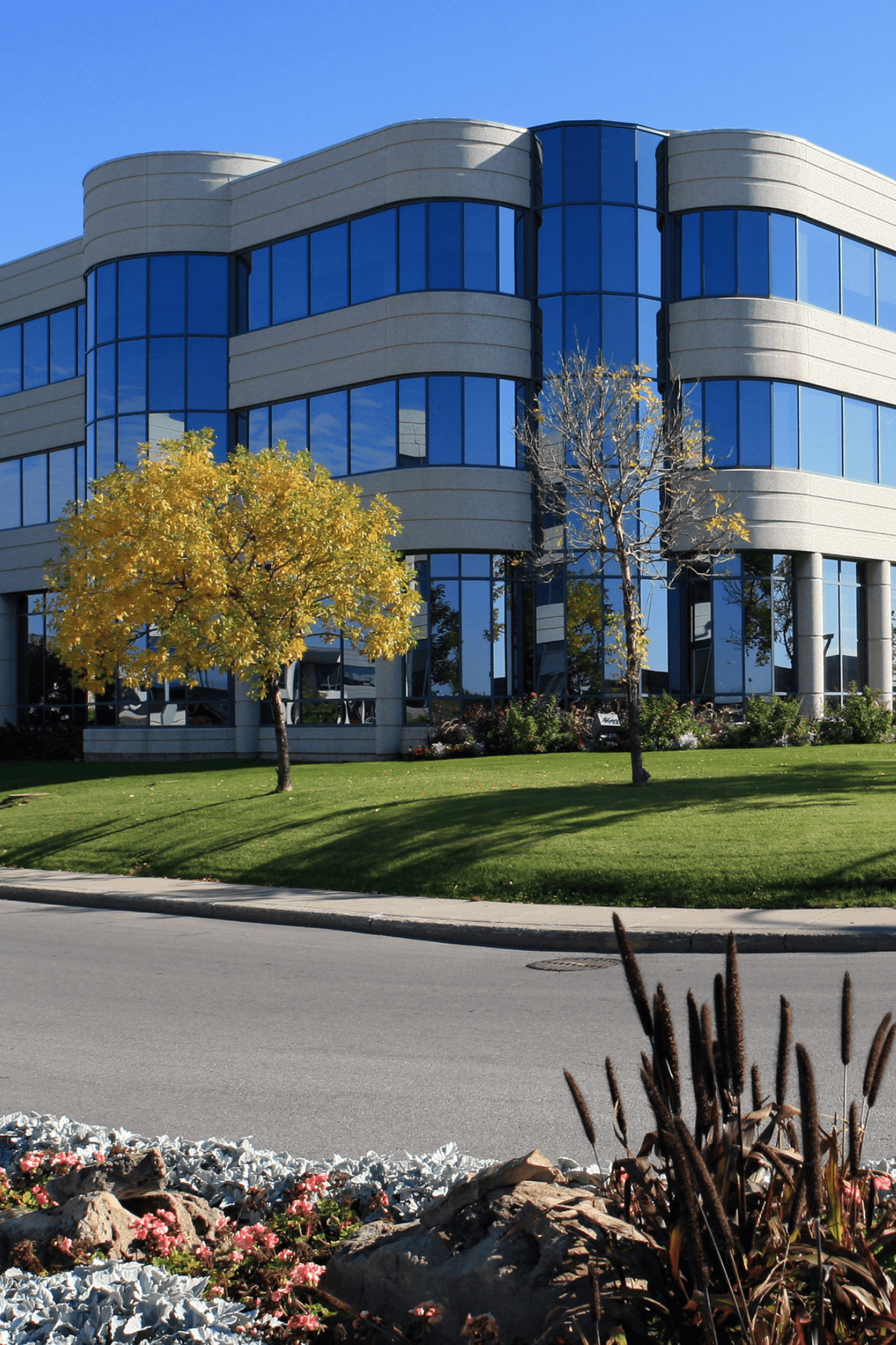 Specialised project insurance - rosebank